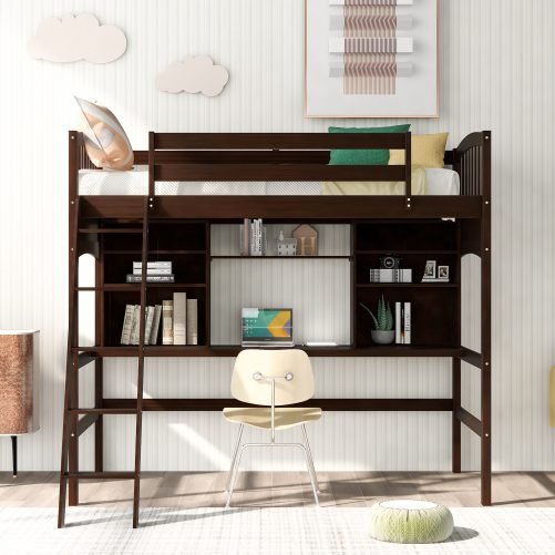 Twin Size Loft Beds With Storage Shelves, Desk And Ladder
