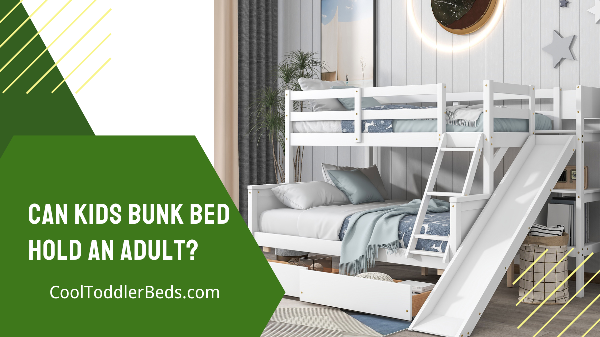 Can Kids Bunk Bed Hold An Adult?